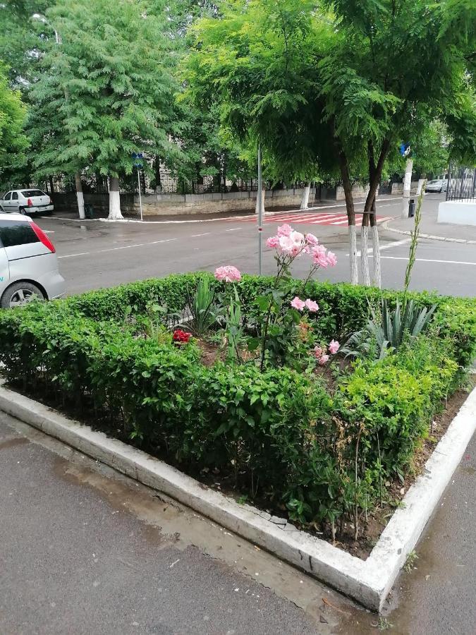 Mara Studio Apartment Constanta Exterior photo